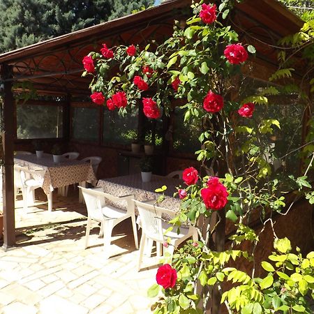B&B Villa Lena Turi Zewnętrze zdjęcie