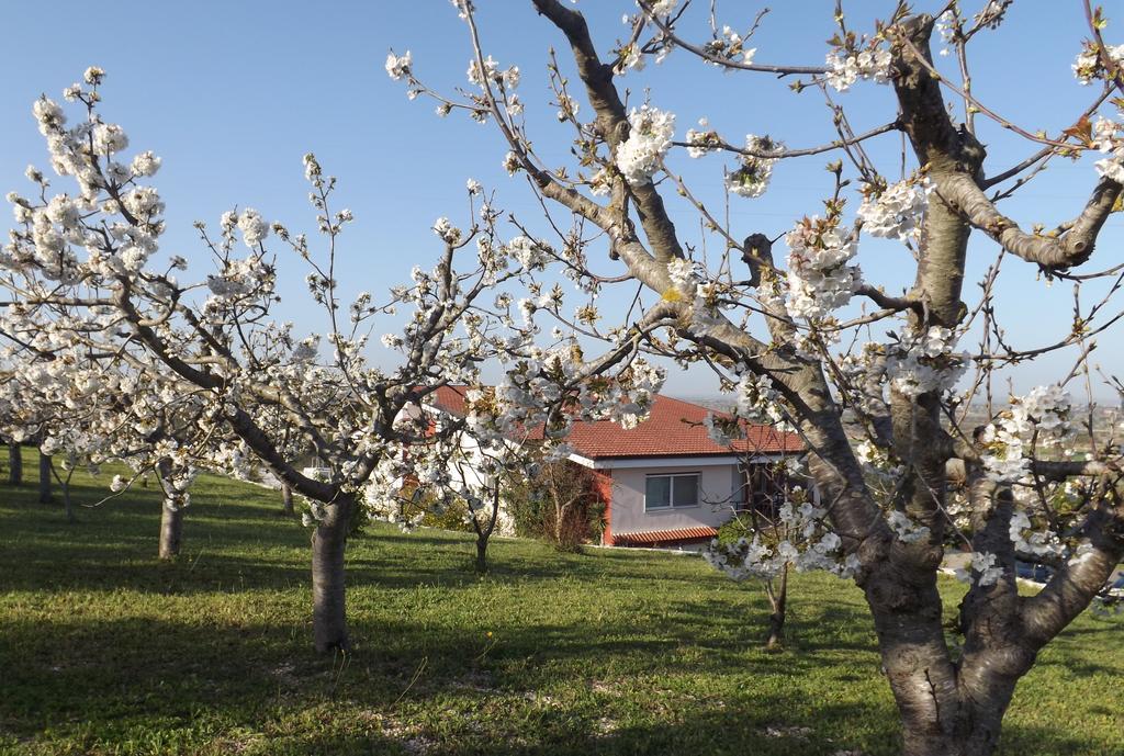 B&B Villa Lena Turi Zewnętrze zdjęcie