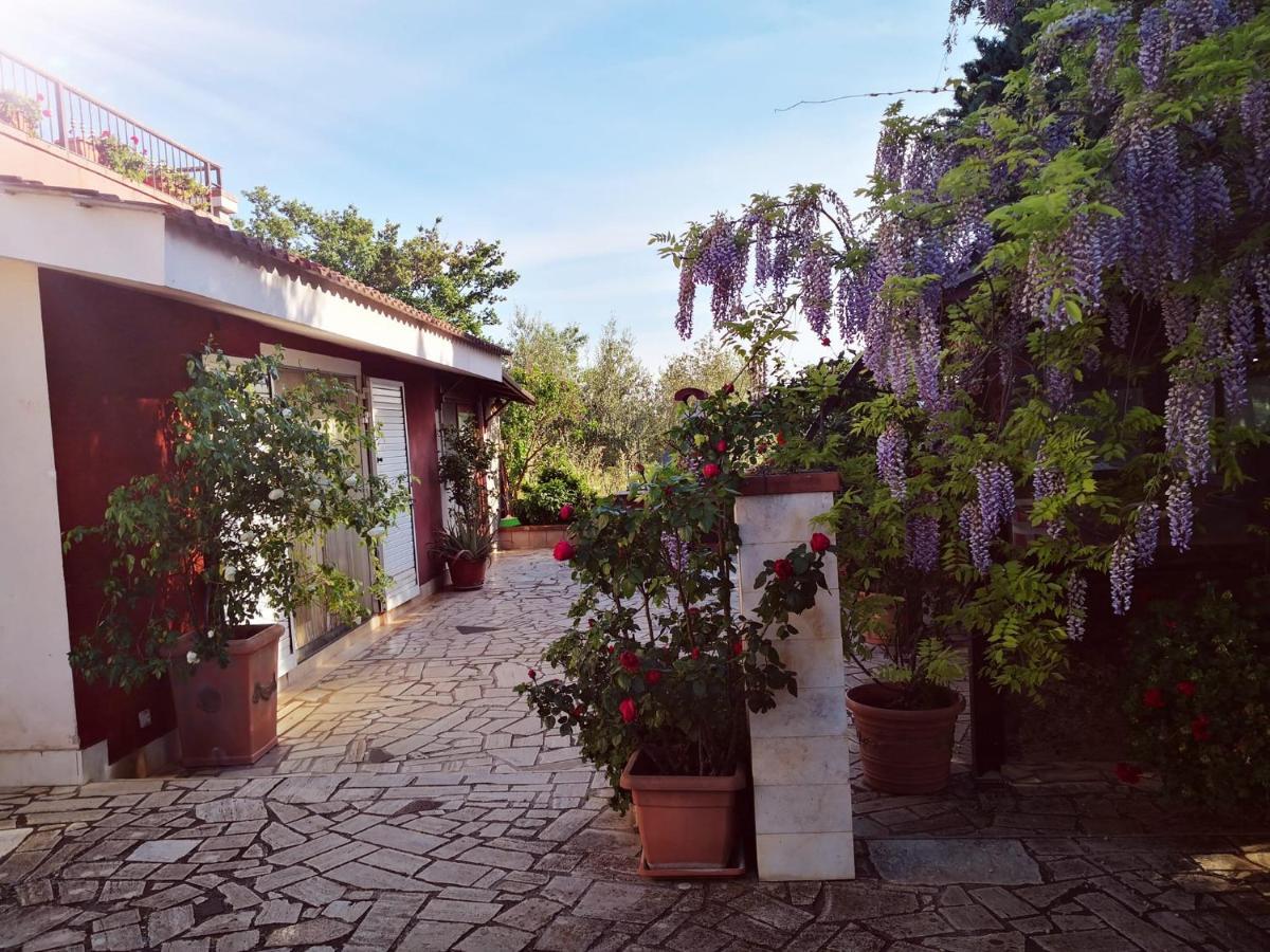 B&B Villa Lena Turi Zewnętrze zdjęcie