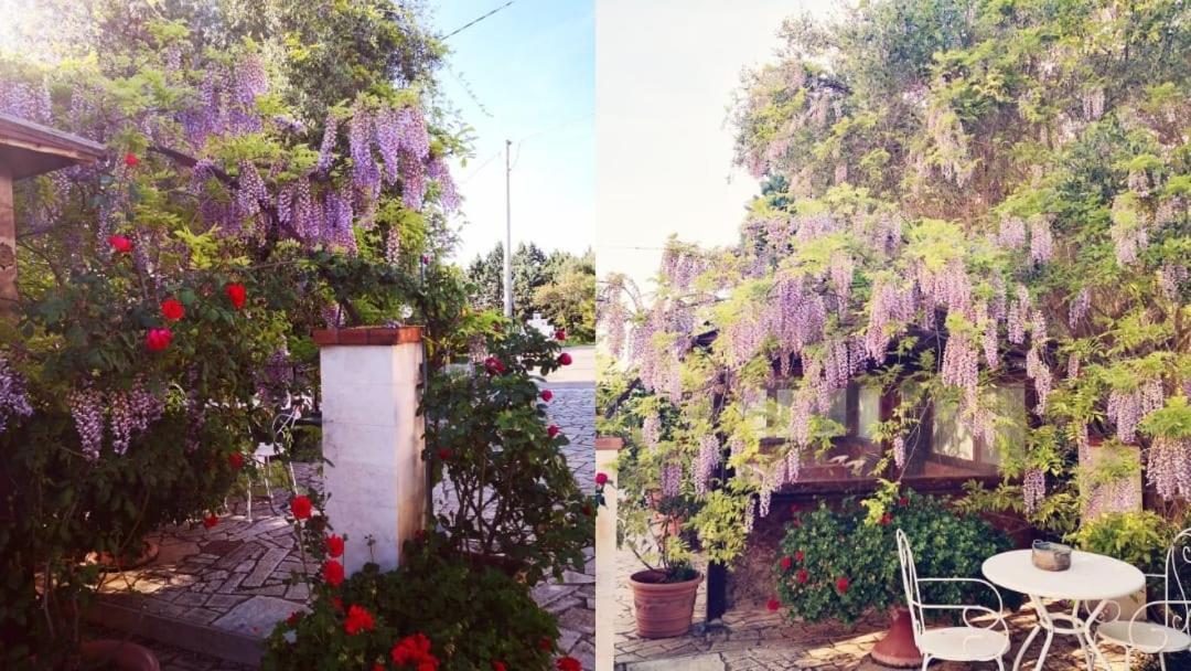 B&B Villa Lena Turi Zewnętrze zdjęcie