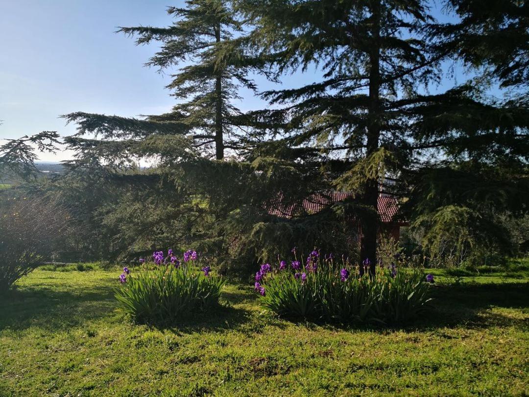 B&B Villa Lena Turi Zewnętrze zdjęcie