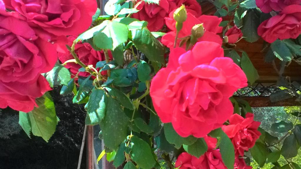 B&B Villa Lena Turi Zewnętrze zdjęcie