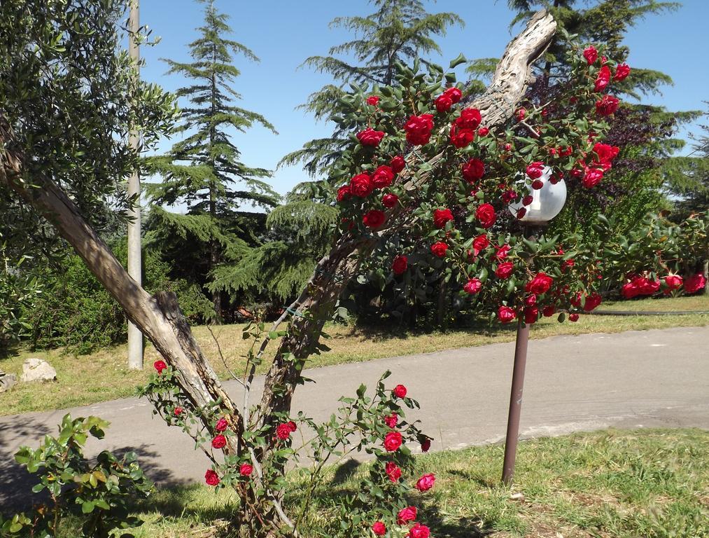 B&B Villa Lena Turi Zewnętrze zdjęcie