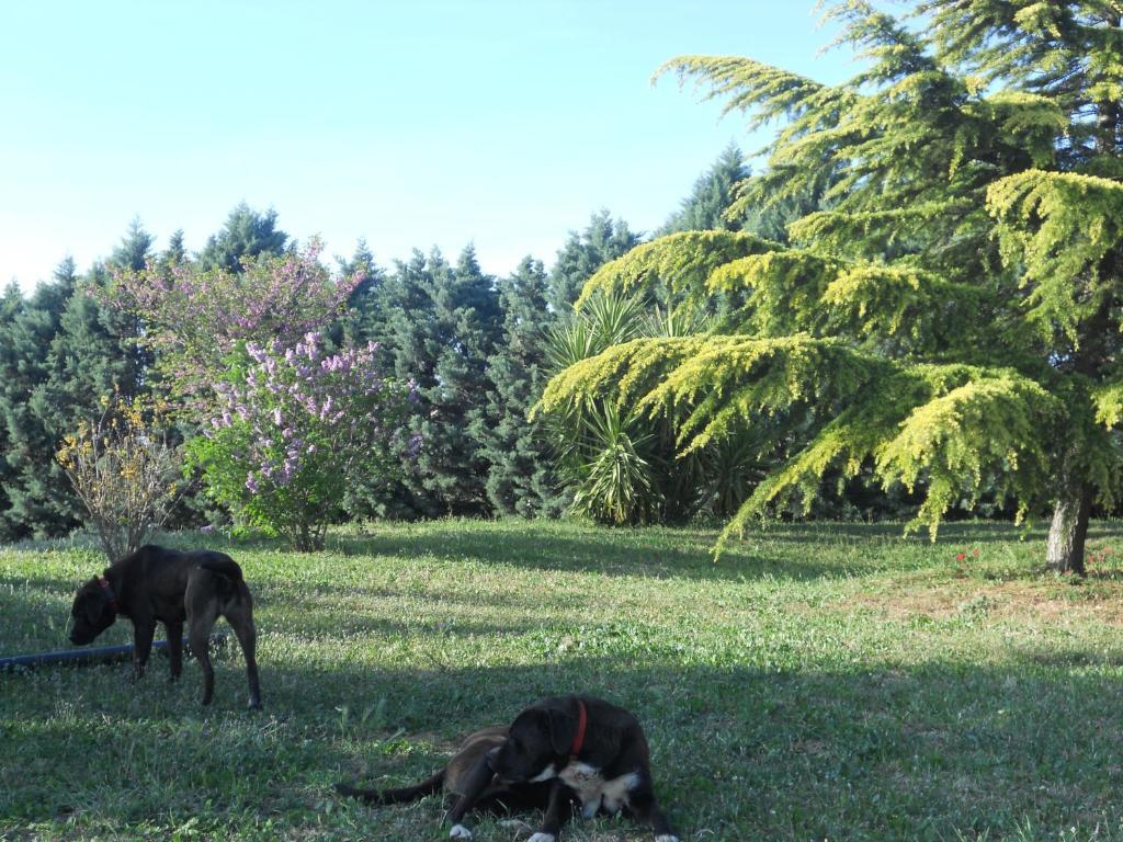 B&B Villa Lena Turi Zewnętrze zdjęcie