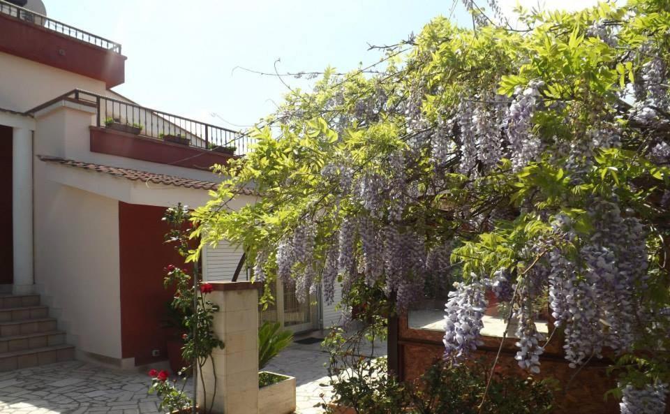 B&B Villa Lena Turi Zewnętrze zdjęcie